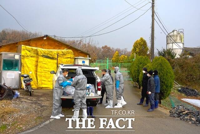 당진시는 24일 송산면 무수리 소재 양돈농가에서 아프리카돼지열병이 확진됨에 따라 긴급방역 체계를 가동했다. /당진시