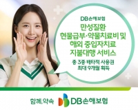  DB손해보험, 만성질환 보장 신상품 배타적 사용권 확보