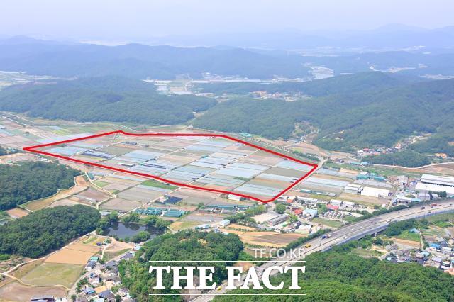 댤성군 하빈면 대구농수산물도매시장 이전 예정지(빨간색 선) /대구시