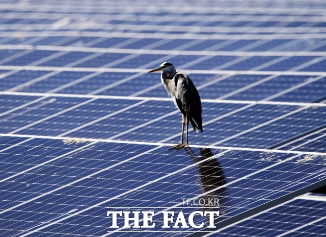 기후에너지환경부는 27일 한국전력공사 남서울본부에서 2025년 제10차 전력정책심의회를 개최하고 제12차 전력수급기본계획(12차 전기본) 수립계획 등을 논의했다. 사진은 경남 남해읍 인근 태양광 패널. / 뉴시스