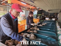  세종 배, 대한민국 최고 품질 입증했다