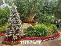  부천호수식물원 수피아, 겨울맞이 크리스마스 전시회 개최