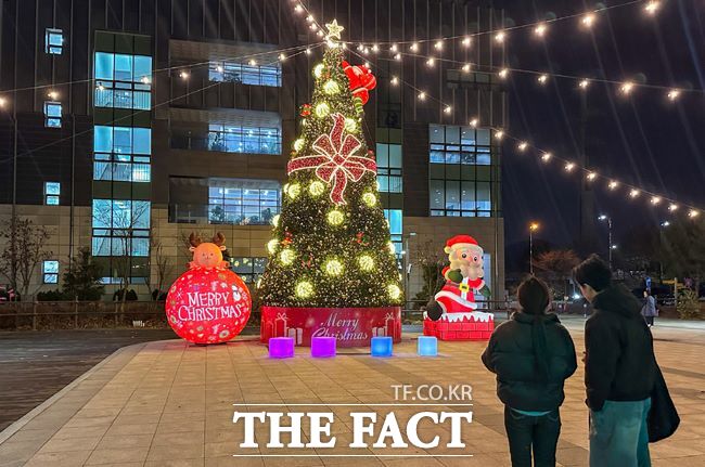 청년들이 광명시청소년수련관 앞 마당에 설치된 대형 크리스마스트리를 바라보고 있다. /광명시청소년재단