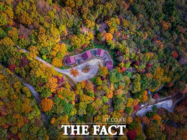 거제 자연휴양림 전경. /거제시