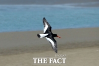  시흥시, '자연환경대상' 최우수상…멸종위기 철새 귀환 인정