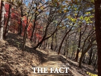  대전시, 보문산 남보살 약수터~보훈공원 구간 맨발길 조성