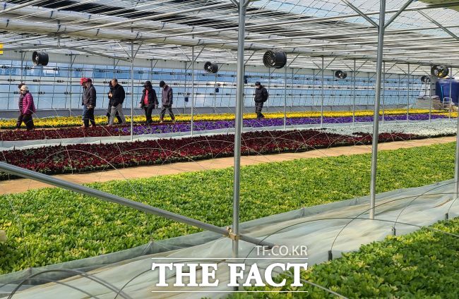 여월 꽃양묘장 맨발길을 걷는 시민들 모습. /부천시