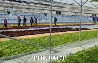  부천시, '꽃양묘장 겨울철 맨발길' 12월부터 개방