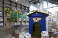  현엔, 인간·꿀벌 공존 위한 '기프트하우스 플랜비' 전시회 개최