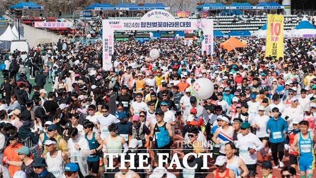 제24회 합천벚꽃마라톤대회 모습. /합천군