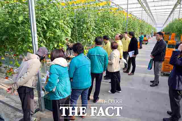 당진시의회 산업건설위원회는 1일 송산·석문면 일원에서 현장 점검을 실시했다. /당진시의회