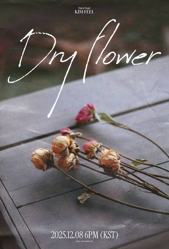 가수 김필이 8일 오후 6시 새 디지털 싱글 Dry Flower를 발매한다,/웨이크원