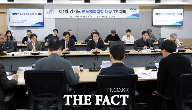 경기도 반도체특별법 대응 TF 회의 모습. /경기도