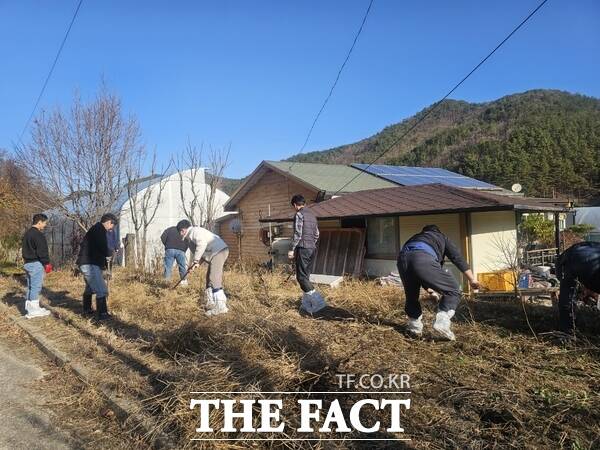 금산군 농정과 직원들이 지난 1일 진산면 묵산리에서 농촌일손돕기에 나선 모습 /금산군