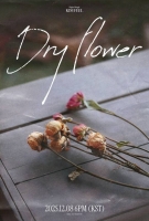  김필, 새 싱글 'Dry Flower' 발매 예고…더 깊어진 감성