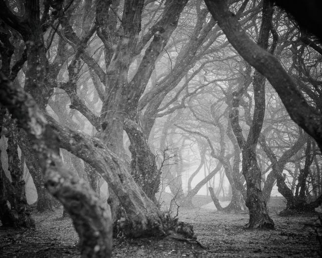 가작 수상작 비틀린 시간의 파동. /김남국 작가 제공