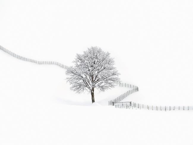 가작 수상작 순백의 고요. /김남국 작가 제공