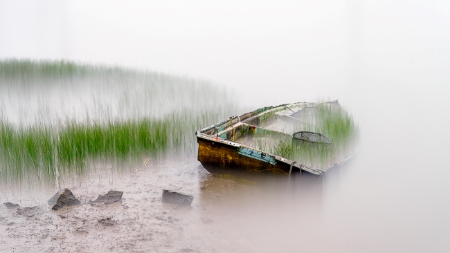 동상 수상작 조용한 회복. /김남국 작가 제공