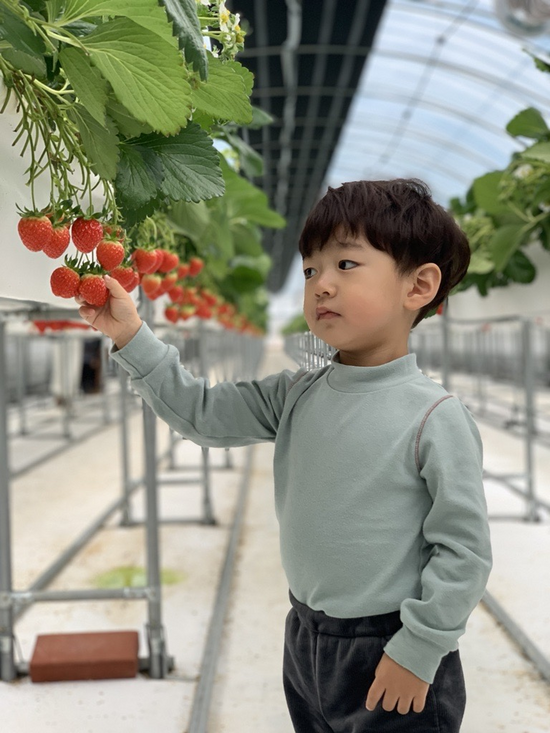 매일유업의 관계사인 농어촌 체험형 테마공원 상하농원이 올해 겨울 시즌을 맞아 딸기 농부 체험과 제7회 겨울상하사진 공모전을 운영한다. /매일유업 상하농원