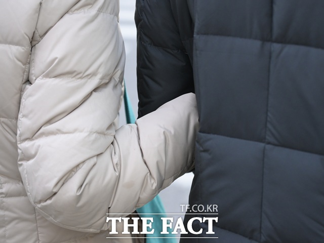 서울에 이틀째 한파가 지속되는 4일 오전 서울 종로구 광화문 인근에서 한 시민이 추위에 모자를 눌러쓰고 있다. /송호영 기자