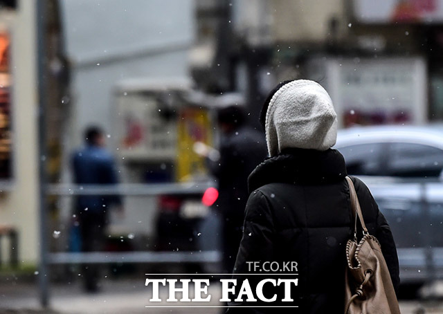 서울시에 따르면 4일 오후 6시~8시까지 서울에 1~5㎝의 첫눈이 내릴 것으로 예보됐다. /더팩트DB