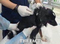  동물학대 '애니멀 호더' 막는다…소규모 보호시설 지원