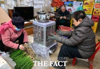  '영하권 강추위' 난로 쬐며 추위 녹이는 전통시장 상인들 [TF사진관]