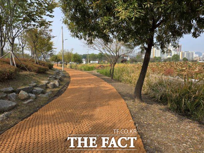 새로 정비된 왕송호수공원 모습 /의왕시