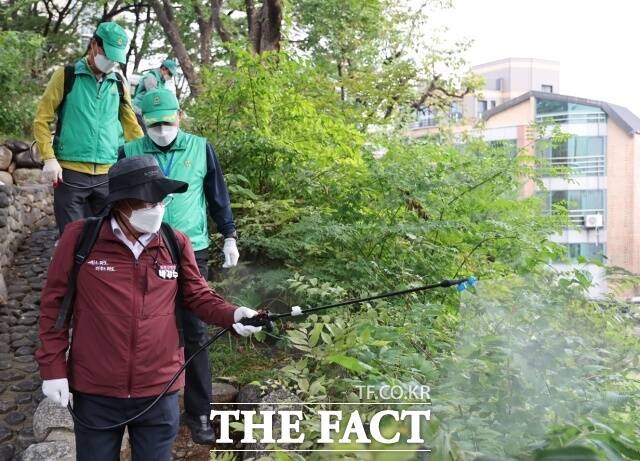 서울 마포구(구청장 박강수)는 5일 겨울철 모기 증가에 따라 소독의무대상 외 건물에 대한 방제에 나선다./ 더팩트DB