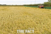  세계식량가격지수 3달 연속 하락