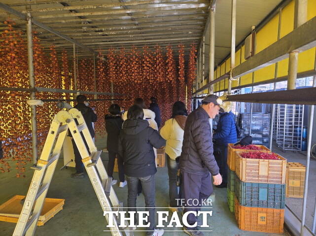 온라인 홍보단이 지난 5일 논산시 양촌면 곶감 덕장을 방문하고 있다. /논산시