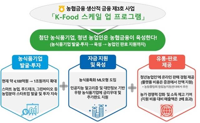 농협금융의 생산적 금융 제3호 사업 'K-Food 스케일 업 프로그램'의 개요. /NH농협금융
