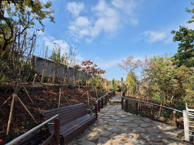 서울시내 3곳에 동행가든이 조성됐다. 종로구 맹학교 무장애 나눔숲 조성 후 모습. /서울시