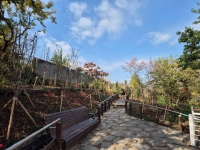  '5분 정원도시 서울'…사회복지시설에 '동행가든' 6000㎡ 조성