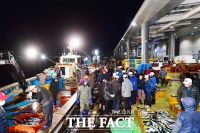  멀다던 울진, 이제는 '당일권'…겨울 대표 관광지로 재부상