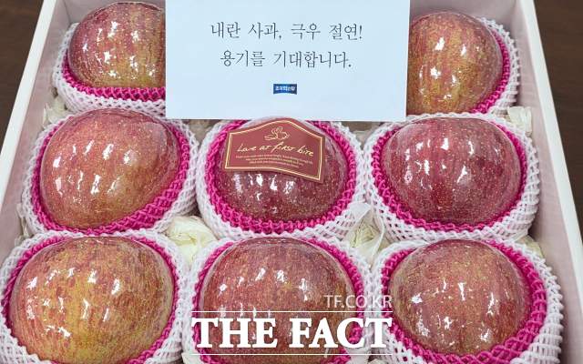 조국혁신당이 정당 예방 감사에 뜻으로 국민의힘에 보낸 사과. 국민의힘이 조국혁신당이 보낸 답례품을 거절하자 혁신당은 이를 내란 사과에 대한 강한 거부감을 표현한 것이라며 '개사과'라고 비판했다./조국혁신당 제공