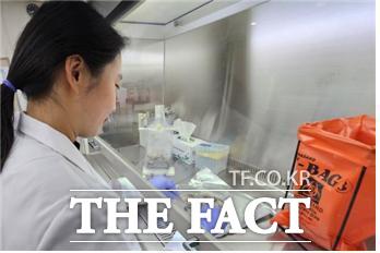 인천시 보건환경연구원이 노로바이러스 검사를 하고 있다./인천시