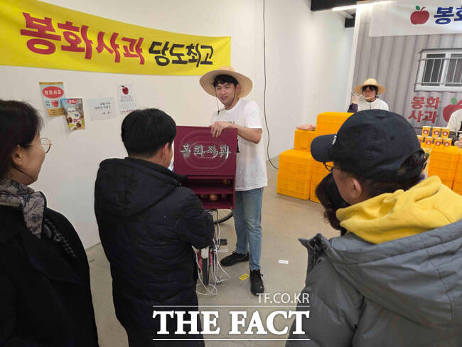 사과 개수 맞히기 게임모습. /봉화군