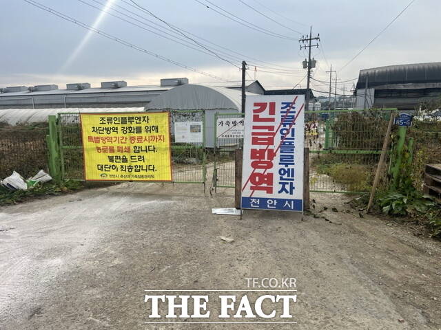 천안시가 고병원성 조류인플루엔자(AI) 확산 방지를 위해 가축 이동을 제한하고 사람·차량 출입을 통제하고 있다. /천안시