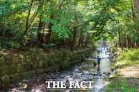  취향 따라 골라 즐기는 보령 자연휴양림…계곡·해안·산악 '3색 힐링'