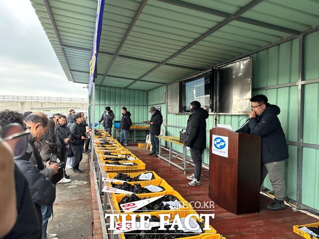 서천군이 11일 서천서부수협 위판장에서 초매식을 진행하고 있다. /서천군