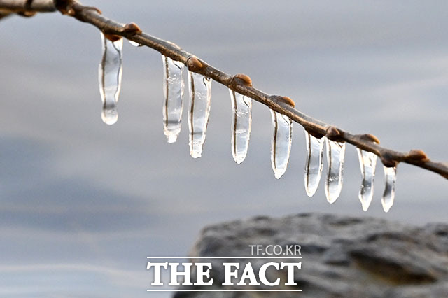 추위에 생긴 고드름, 모양도 '가지각색'
