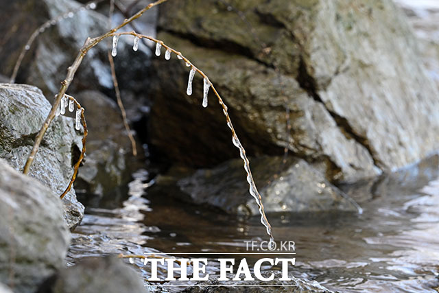 추위에 생긴 고드름, 모양도 '가지각색'