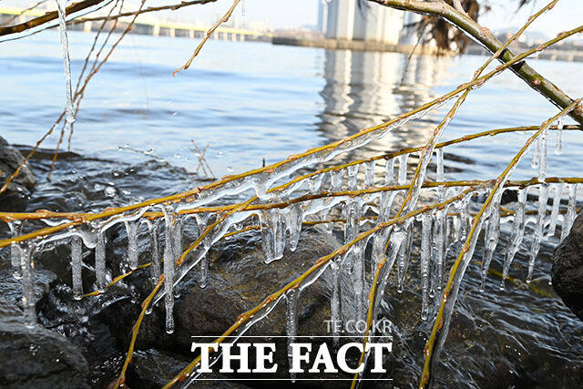 추위에 생긴 고드름, 모양도 '가지각색'
