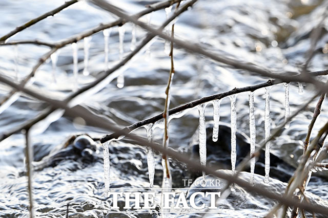 추위에 생긴 고드름, 모양도 '가지각색'