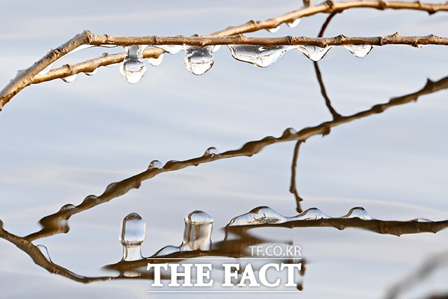 추위에 생긴 고드름, 모양도 '가지각색'
