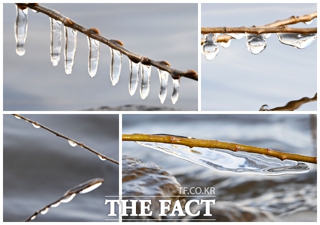 전국 대부분 지역의 기온이 큰 폭으로 낮아진 가운데 12일 오전 서울 마포구 양화한강공원 일대에 고드름이 얼어있다. /남용희 기자
