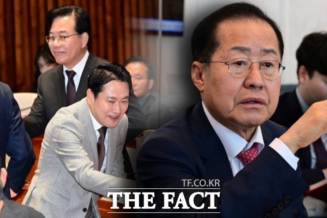 홍준표 전 대구시장이 11일 자신의 SNS를 통해 국민의힘 지도부를 향한 비판 메시지를 밝혔다. /더팩트DB