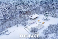  아름다운 천안 사진공모전, '청동대좌불의 설경' 대상