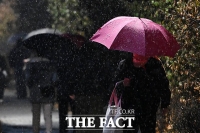  '비에서 눈으로'...진눈깨비 내리는 서울 [TF사진관]